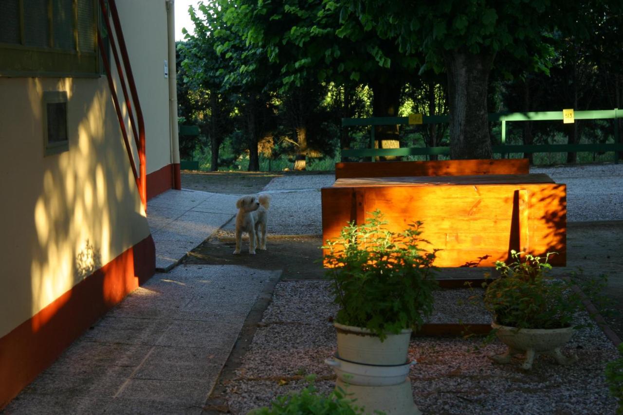 Villa Lilli 2 Феррара Екстер'єр фото