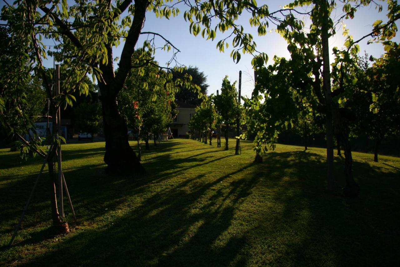 Villa Lilli 2 Феррара Екстер'єр фото